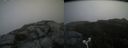 ./images/calvert/buxton2/20180812/buxton220180812_120955M.jpg