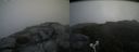./images/calvert/buxton2/20180812/buxton220180812_122455M.jpg