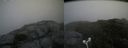 ./images/calvert/buxton2/20180812/buxton220180812_124455M.jpg