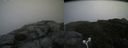 ./images/calvert/buxton2/20180812/buxton220180812_132455M.jpg
