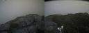 ./images/calvert/buxton2/20180812/buxton220180812_132955M.jpg