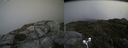 ./images/calvert/buxton2/20180812/buxton220180812_144955M.jpg