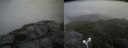 ./images/calvert/buxton2/20180812/buxton220180812_152455M.jpg