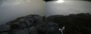 ./images/calvert/buxton2/20180815/buxton220180815_084954M.jpg