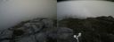 ./images/calvert/buxton2/20180817/buxton220180817_165954M.jpg