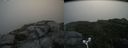 ./images/calvert/buxton2/20180820/buxton220180820_093455M.jpg
