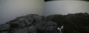 ./images/calvert/buxton2/20180822/buxton220180822_112454M.jpg