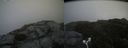 ./images/calvert/buxton2/20180822/buxton220180822_122454M.jpg