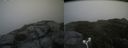 ./images/calvert/buxton2/20180822/buxton220180822_124954M.jpg