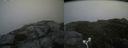 ./images/calvert/buxton2/20180822/buxton220180822_125954M.jpg