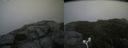 ./images/calvert/buxton2/20180822/buxton220180822_131454M.jpg