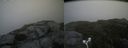 ./images/calvert/buxton2/20180822/buxton220180822_134454M.jpg