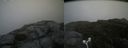 ./images/calvert/buxton2/20180822/buxton220180822_135454M.jpg