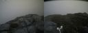 ./images/calvert/buxton2/20180822/buxton220180822_140454M.jpg