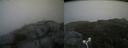 ./images/calvert/buxton2/20180822/buxton220180822_143954M.jpg
