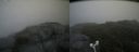 ./images/calvert/buxton2/20180822/buxton220180822_144454M.jpg