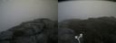 ./images/calvert/buxton2/20180822/buxton220180822_150954M.jpg