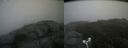 ./images/calvert/buxton2/20180822/buxton220180822_151954M.jpg