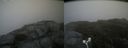 ./images/calvert/buxton2/20180822/buxton220180822_162454M.jpg