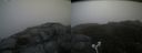 ./images/calvert/buxton2/20180823/buxton220180823_100954M.jpg
