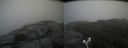 ./images/calvert/buxton2/20180823/buxton220180823_104454M.jpg