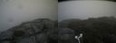 ./images/calvert/buxton2/20180823/buxton220180823_113454M.jpg