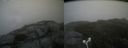 ./images/calvert/buxton2/20180823/buxton220180823_114954M.jpg