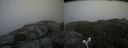 ./images/calvert/buxton2/20180823/buxton220180823_134454M.jpg