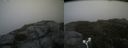 ./images/calvert/buxton2/20180823/buxton220180823_135954M.jpg