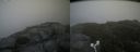 ./images/calvert/buxton2/20180823/buxton220180823_155454M.jpg