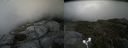 ./images/calvert/buxton2/20180823/buxton220180823_171954M.jpg