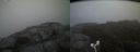 ./images/calvert/buxton2/20180823/buxton220180823_202954M.jpg