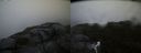 ./images/calvert/buxton2/20180825/buxton220180825_064453M.jpg