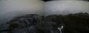 ./images/calvert/buxton2/20180825/buxton220180825_065453M.jpg
