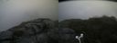 ./images/calvert/buxton2/20180825/buxton220180825_075954M.jpg