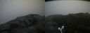 ./images/calvert/buxton2/20180825/buxton220180825_092453M.jpg