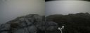 ./images/calvert/buxton2/20180825/buxton220180825_125454M.jpg