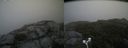 ./images/calvert/buxton2/20180825/buxton220180825_130454M.jpg