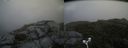 ./images/calvert/buxton2/20180825/buxton220180825_131454M.jpg