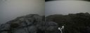 ./images/calvert/buxton2/20180825/buxton220180825_134953M.jpg