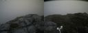 ./images/calvert/buxton2/20180825/buxton220180825_142454M.jpg