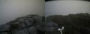 ./images/calvert/buxton2/20180825/buxton220180825_143454M.jpg