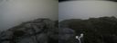 ./images/calvert/buxton2/20180825/buxton220180825_162954M.jpg
