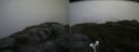 ./images/calvert/buxton2/20180826/buxton220180826_080453M.jpg