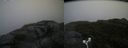 ./images/calvert/buxton2/20180826/buxton220180826_080953M.jpg