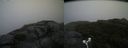 ./images/calvert/buxton2/20180826/buxton220180826_081453M.jpg