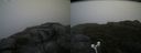 ./images/calvert/buxton2/20180826/buxton220180826_082453M.jpg