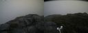 ./images/calvert/buxton2/20180826/buxton220180826_083453M.jpg