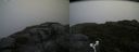 ./images/calvert/buxton2/20180826/buxton220180826_083954M.jpg