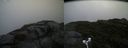 ./images/calvert/buxton2/20180826/buxton220180826_084454M.jpg